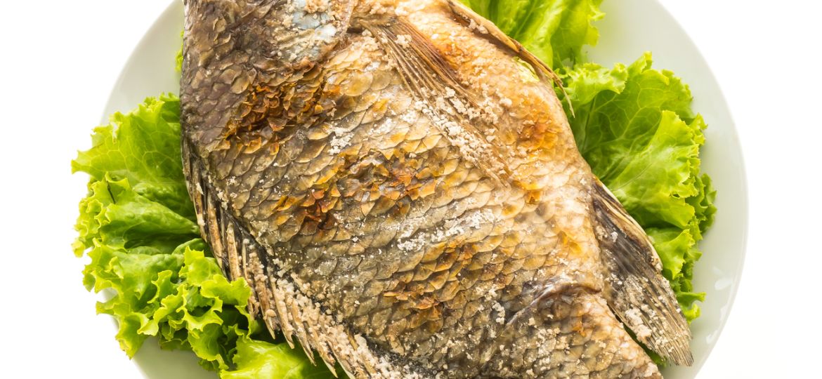 Ilustrasi Ikan Tilapia yang Sudah Digoreng