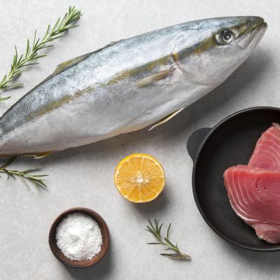 Ilustrasi ikan tuna