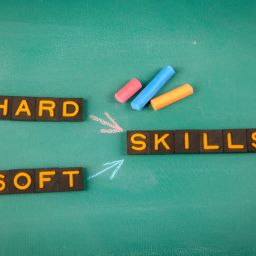 ilustrasi gambar gard skill dan soft skil