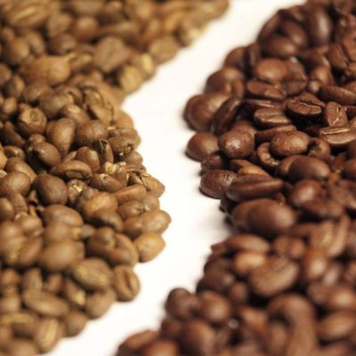 biji kopi arabika dan robusta Indonesia untuk ekspor global